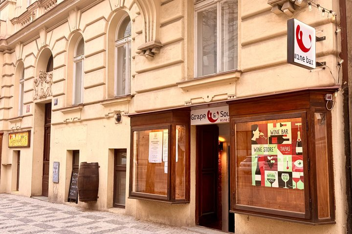 Czech Local Wine Tasting in Grape & Sour - Photo 1 of 8